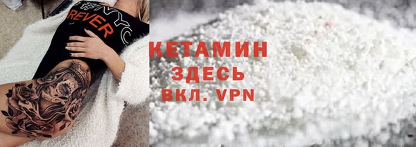 шишки Магас