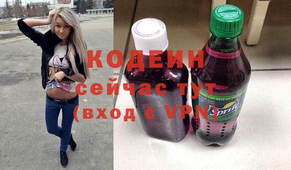 шишки Магас