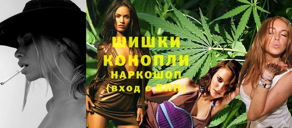 шишки Магас
