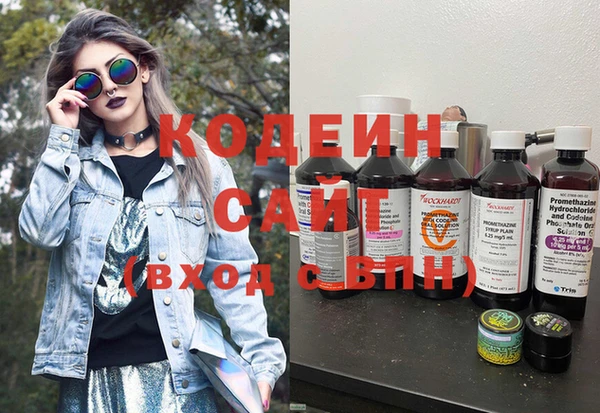 шишки Магас