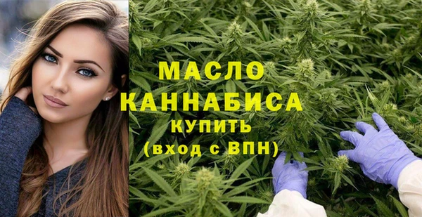 шишки Магас