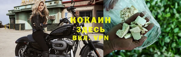 шишки Магас