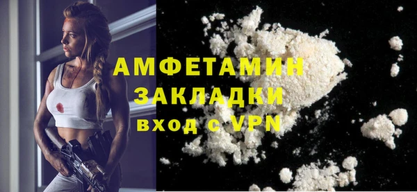шишки Магас