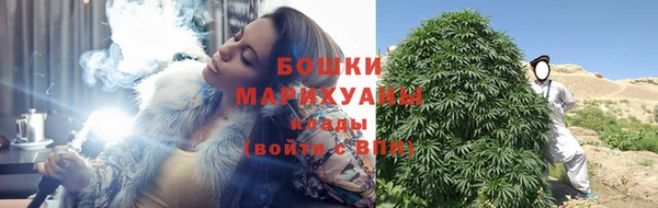 шишки Магас