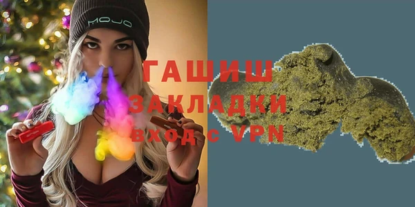 шишки Магас