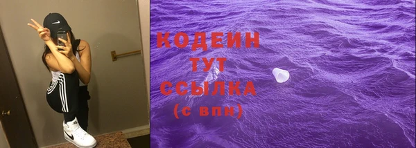 шишки Магас