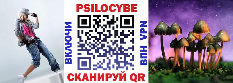 Галлюциногенные грибы Psilocybine cubensis мориарти телеграм Чайковский купить закладку
