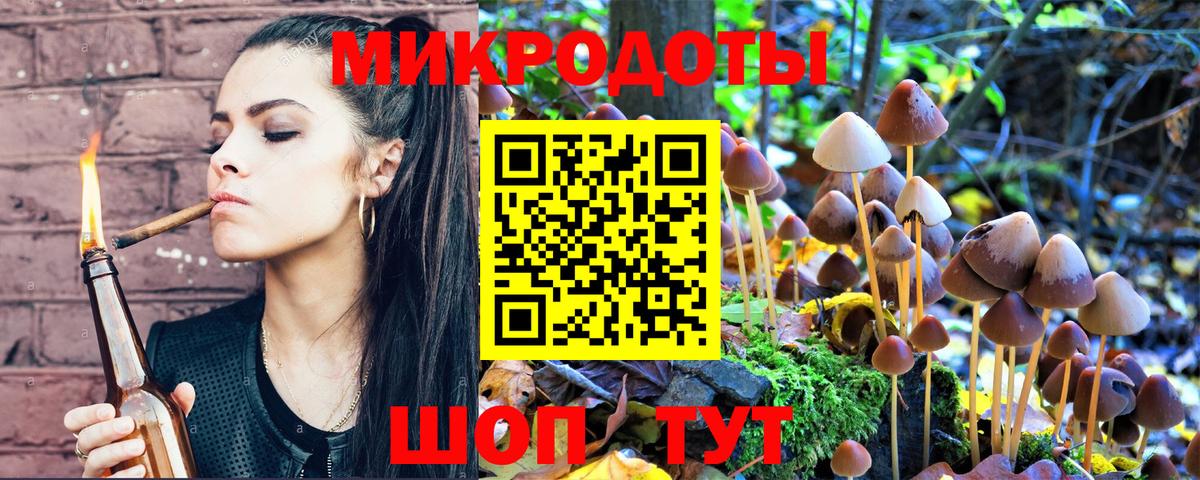 Чайковский  Галлюциногенные грибы ЛСД  где купить   Вход с VPN 