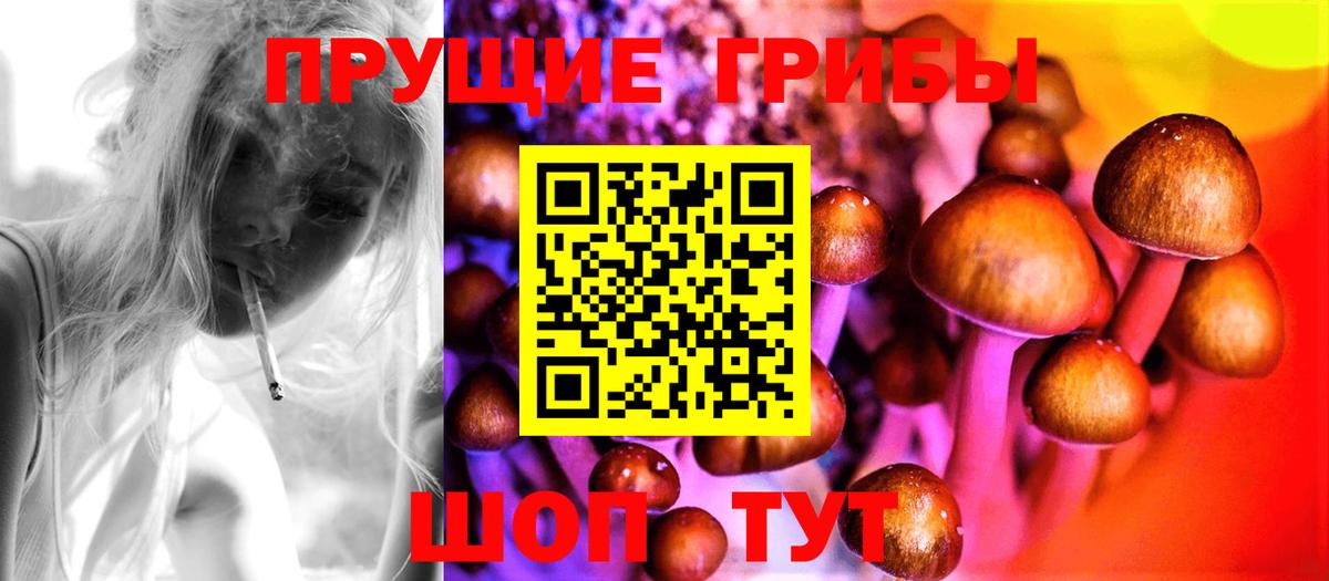 Галлюциногенные грибы мухоморы Чайковский