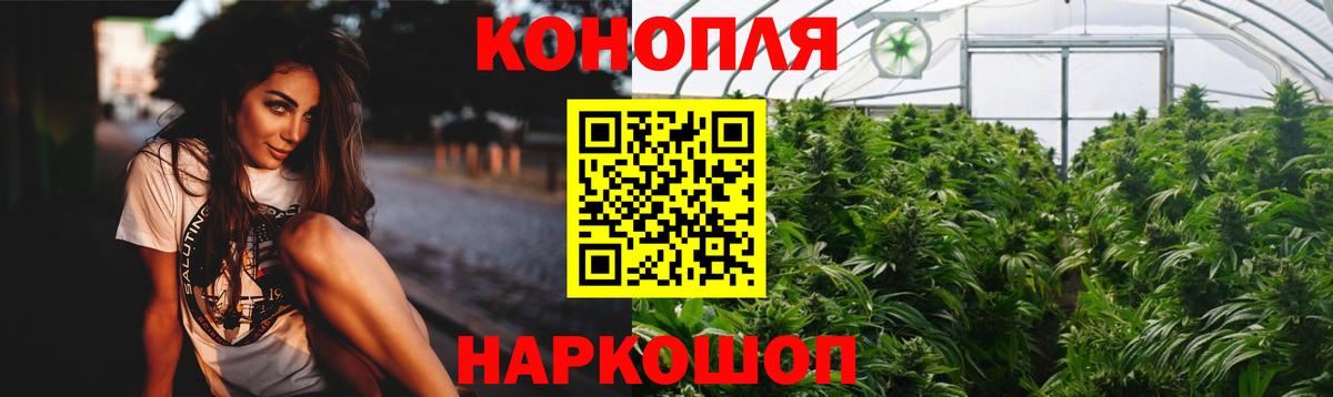 Каннабис план  Бошки марихуана конопля  Бошки марихуана семена  Вход с VPN  Чайковский 